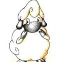 TheConfusedSheep