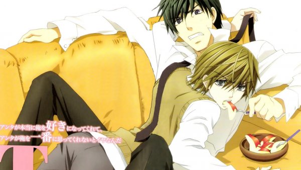 Miyagi x Shinobu [Junjou Romantica]