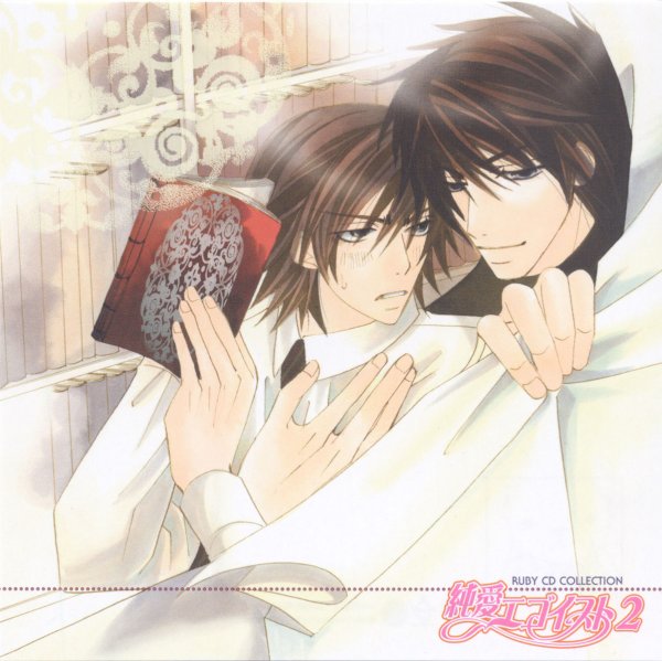 Hiroki x Nowaki [Junjou Romantica]