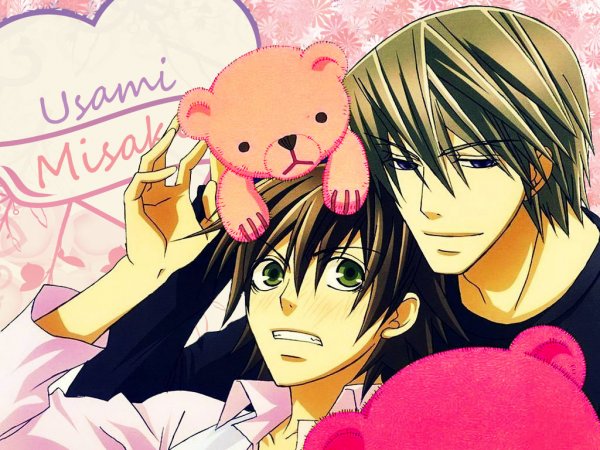 Usami x Misaki [Junjou Romantica]