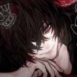vrslzttt112