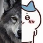 chuuachan